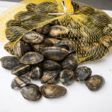 Clams Palourdes Live 1kg