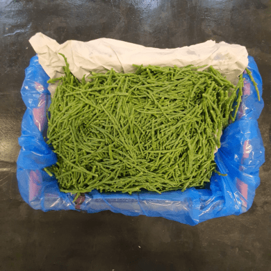 Samphire Grass Farmed