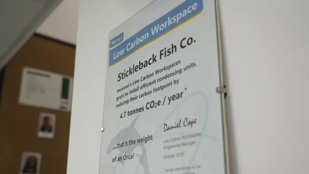 Stickleback Fish - Passionate about sustainability 