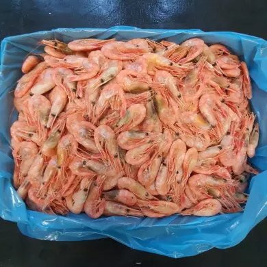 Prawn Cooked Shell on 90/120+ 5kg FROZEN